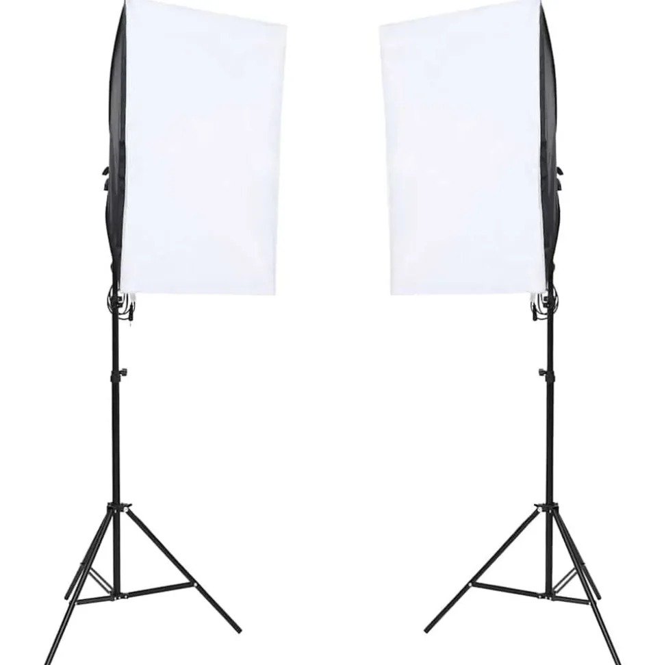 vidaXL Fotostudioset met verlichtingsset en achtergrond
