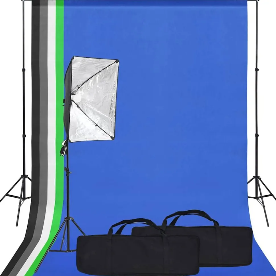 vidaXL Fotostudioset met softboxlamp en achtergrond