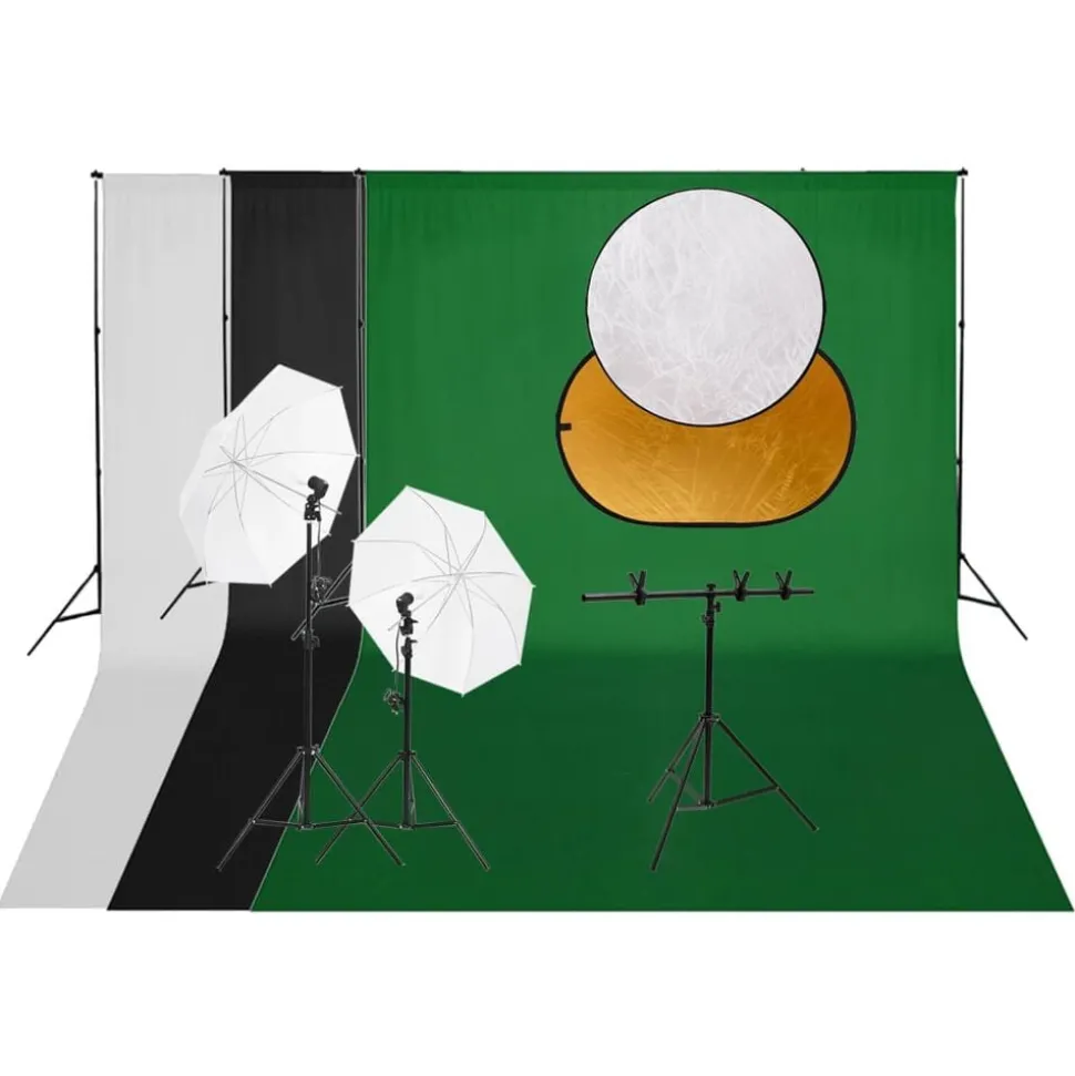 vidaXL Fotostudioset met verlichtingsset achtergrond en reflector
