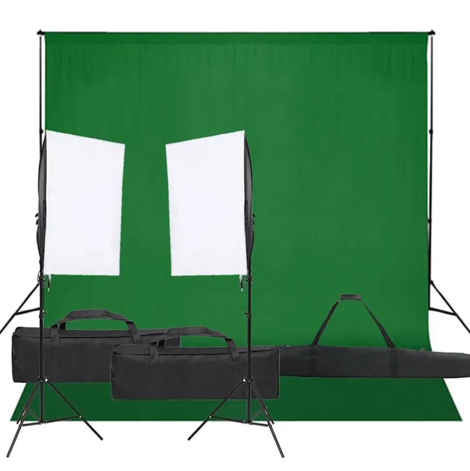 vidaXL Fotostudioset met verlichtingsset en achtergrond