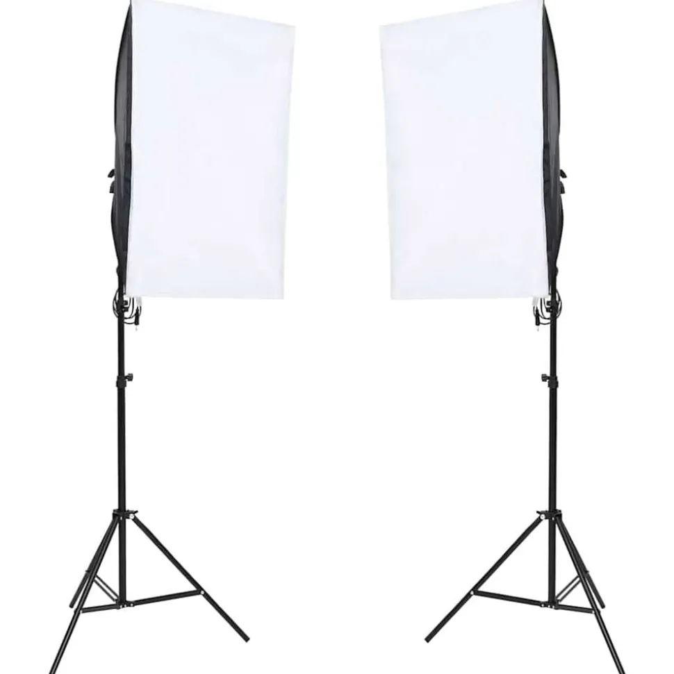 vidaXL Fotostudioset met verlichtingsset en achtergrond