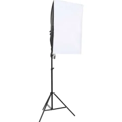 vidaXL Fotostudioset met verlichtingsset en achtergrond