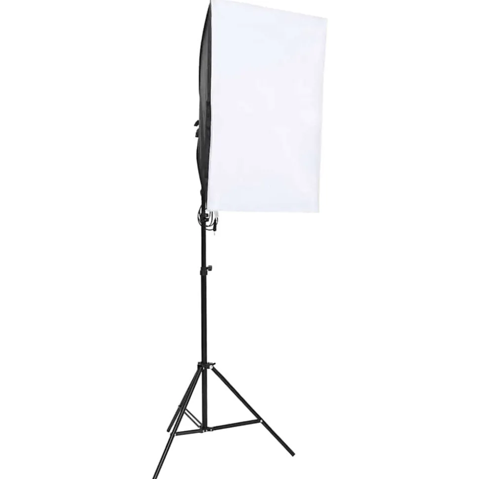 vidaXL Fotostudioset met verlichtingsset en achtergrond