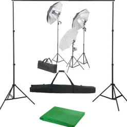 vidaXL Fotostudioset met verlichtingsset en achtergrond