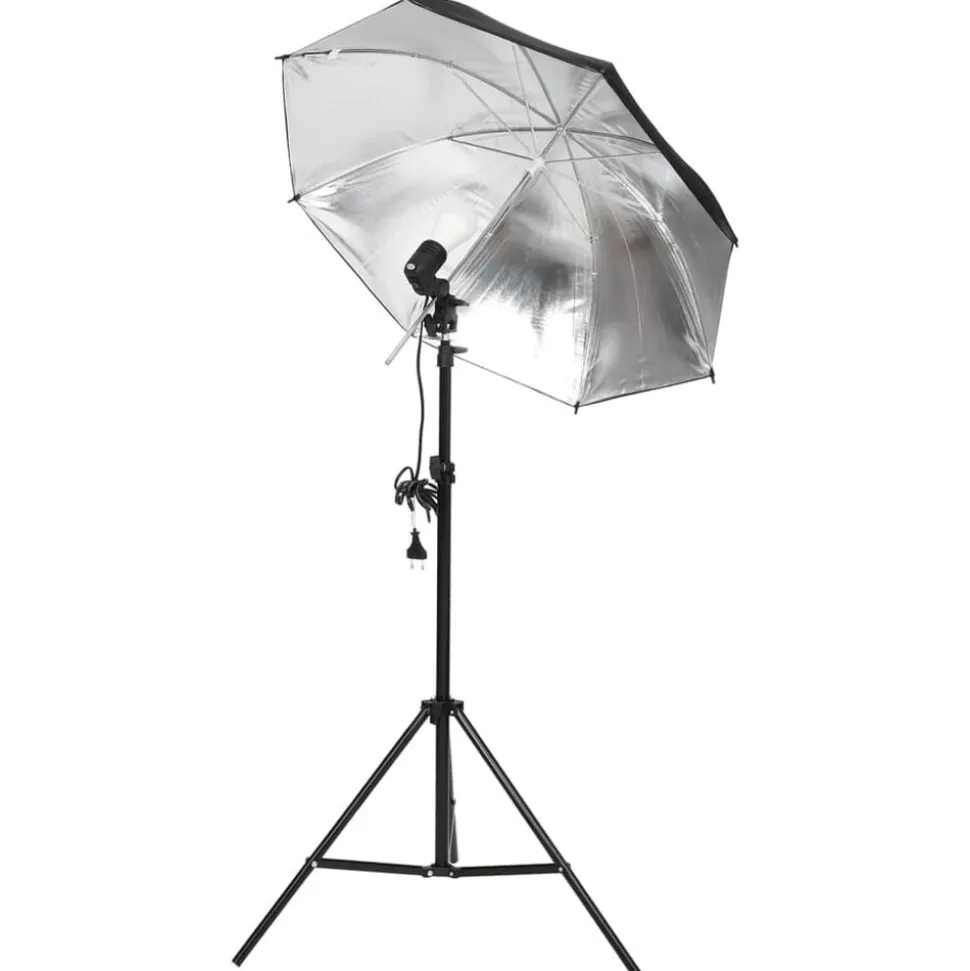 vidaXL Fotostudioset met verlichtingsset en achtergrond