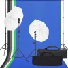 vidaXL Fotostudioset met verlichtingsset en achtergrond