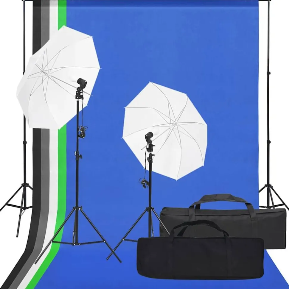 vidaXL Fotostudioset met verlichtingsset en achtergrond