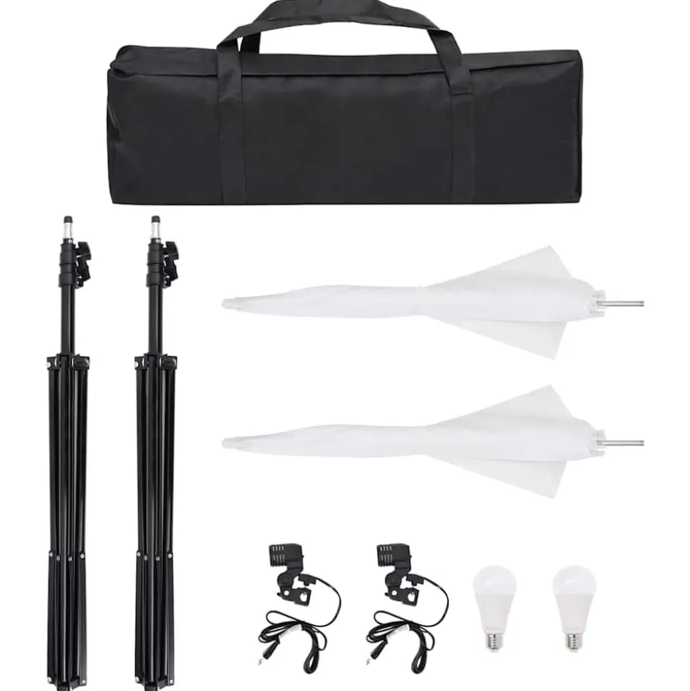 vidaXL Fotostudioset met verlichtingsset en achtergrond