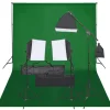 vidaXL Fotostudioset met verlichtingsset en achtergrond