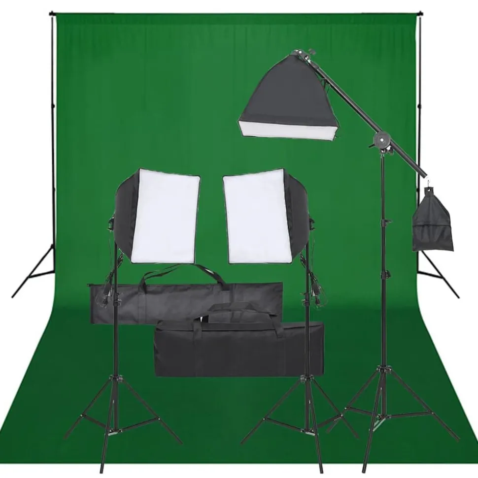 vidaXL Fotostudioset met verlichtingsset en achtergrond