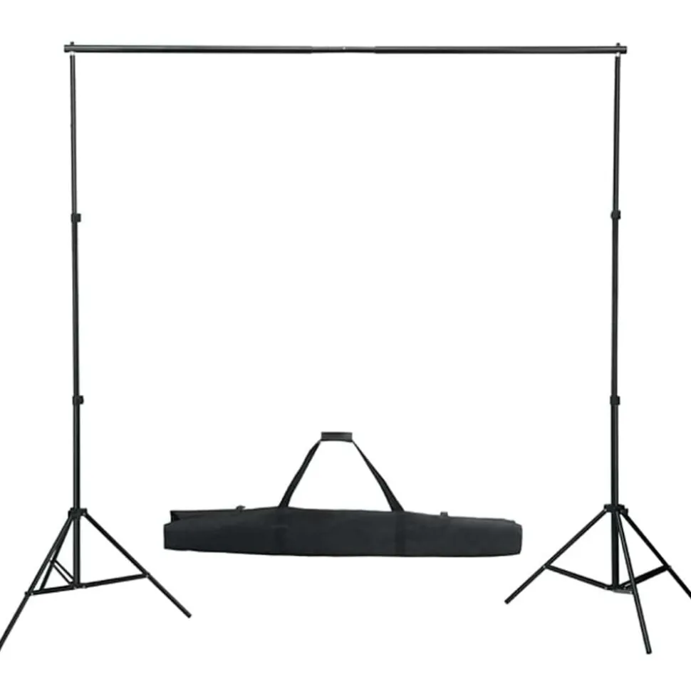 vidaXL Fotostudioset met verlichtingsset en achtergrond