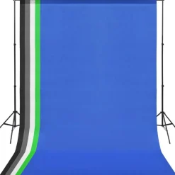vidaXL Fotostudioset met achtergrond en verlichtingsset