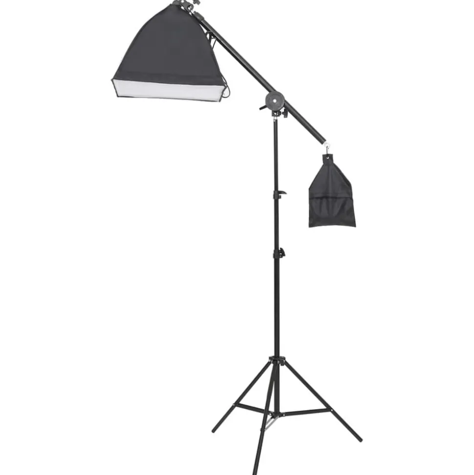 vidaXL Fotostudioset met verlichtingsset en achtergrondscherm