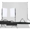 vidaXL Fotostudioset met verlichtingsset en achtergrond