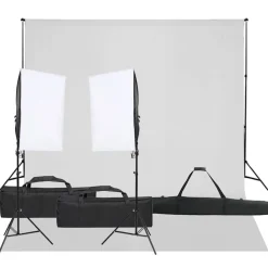 vidaXL Fotostudioset met verlichtingsset en achtergrond