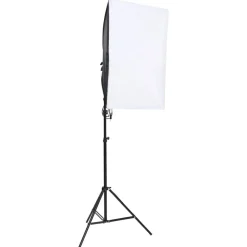 vidaXL Fotostudioset met verlichtingsset en achtergrond