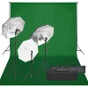 vidaXL Fotostudioset met verlichtingsset en achtergrond
