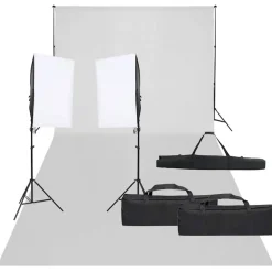 vidaXL Fotostudioset met verlichtingsset en achtergrond