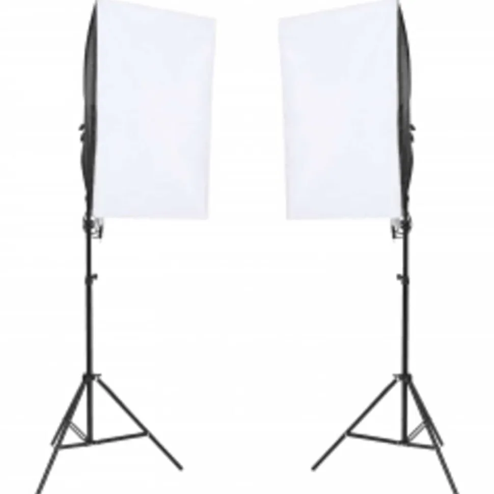 vidaXL Fotostudioset met verlichtingsset en achtergrond