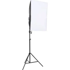 vidaXL Fotostudioset met verlichtingsset en achtergrond