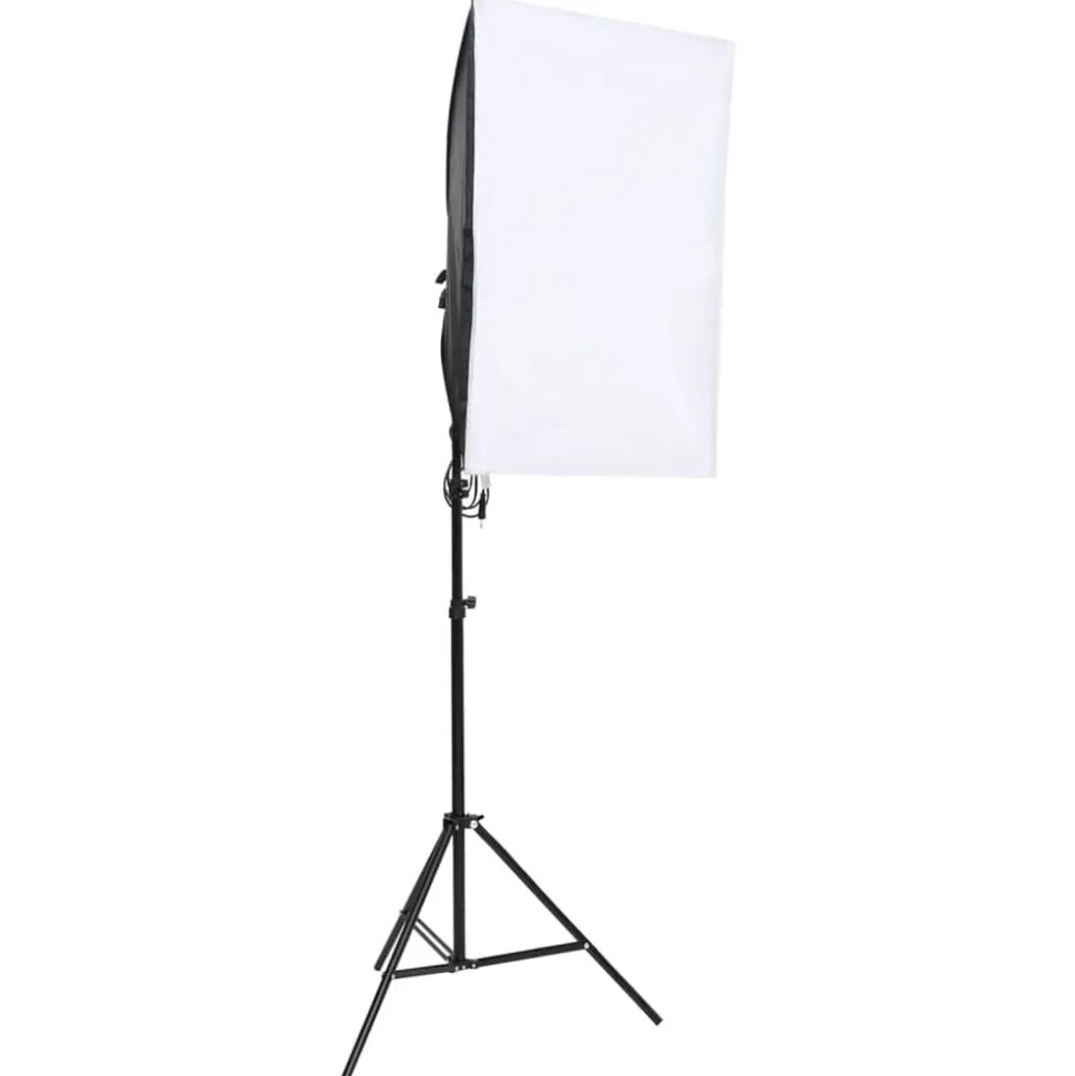 vidaXL Fotostudioset met verlichtingsset en achtergrond