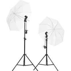vidaXL Fotostudioset met verlichtingsset en achtergrond