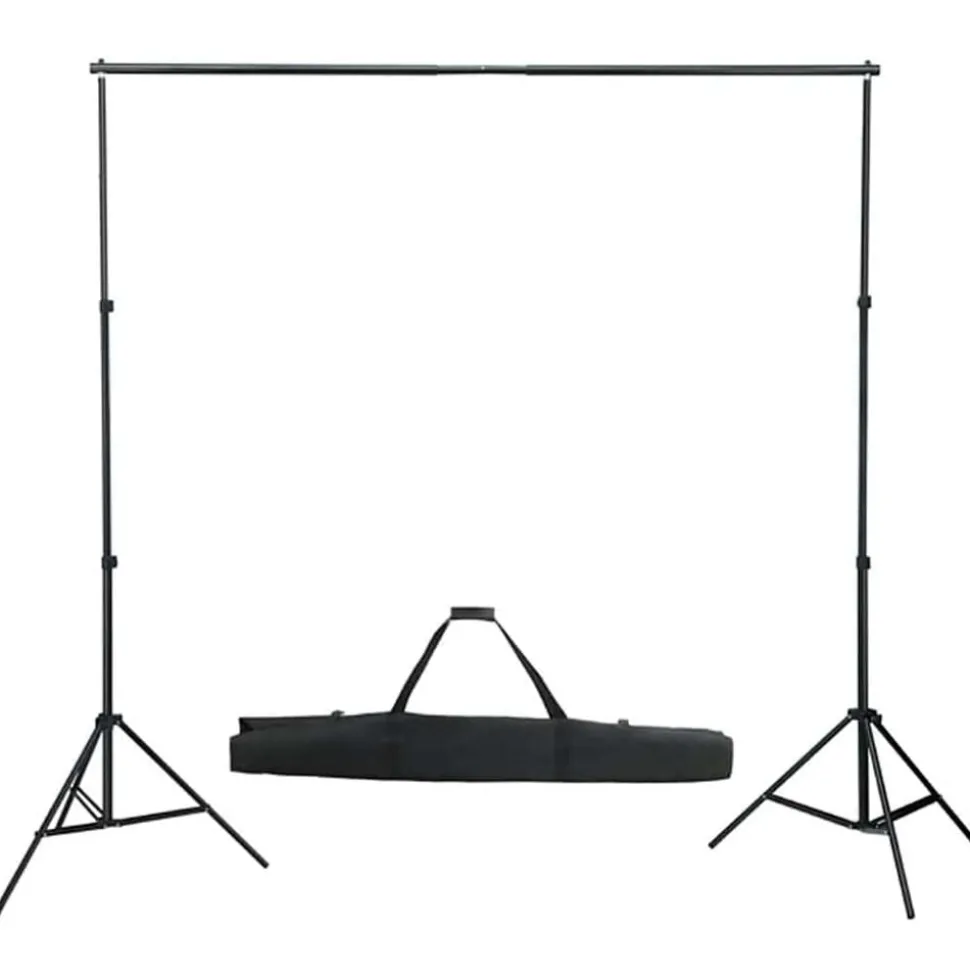 vidaXL Fotostudioset met verlichtingsset en achtergrond