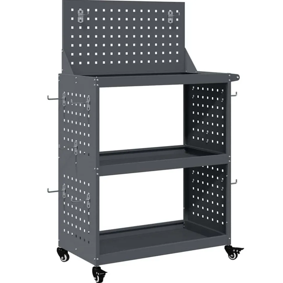 vidaXL Gereedschapswagen Antraciet 65 x 35 x 111 cm Koudgewalst staal