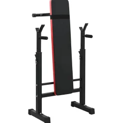 VidaXL Gewichtbank Zwart 126.5 x 67 x 111 cm Gepoedercoat staal