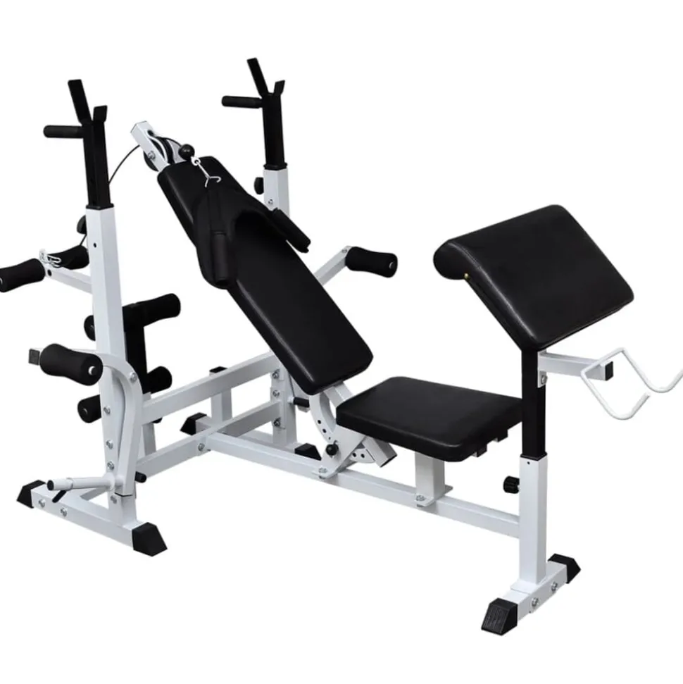 vidaXL Gewichtenbank met gewichtenrek en halterset 120 kg