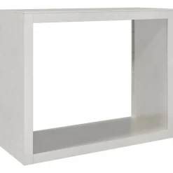 vidaXL Haardhoutrek 100x40x80 cm roestvrij staal