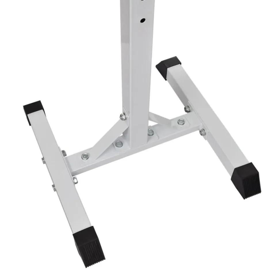 vidaXL Halter- en gewichtenstandaard