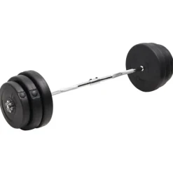vidaXL Halter gebogen met gewichten 90 kg