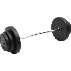 vidaXL Halter gebogen met gewichten 60 kg