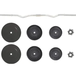 vidaXL Halter gebogen met gewichten 60 kg