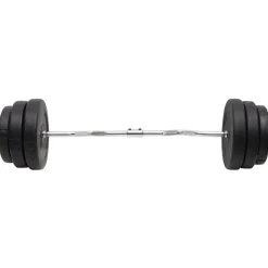 vidaXL Halter gebogen met gewichten 90 kg