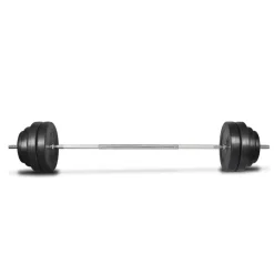 vidaXL Halter met gewichten 60 kg