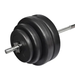 vidaXL Halter met gewichten 60 kg