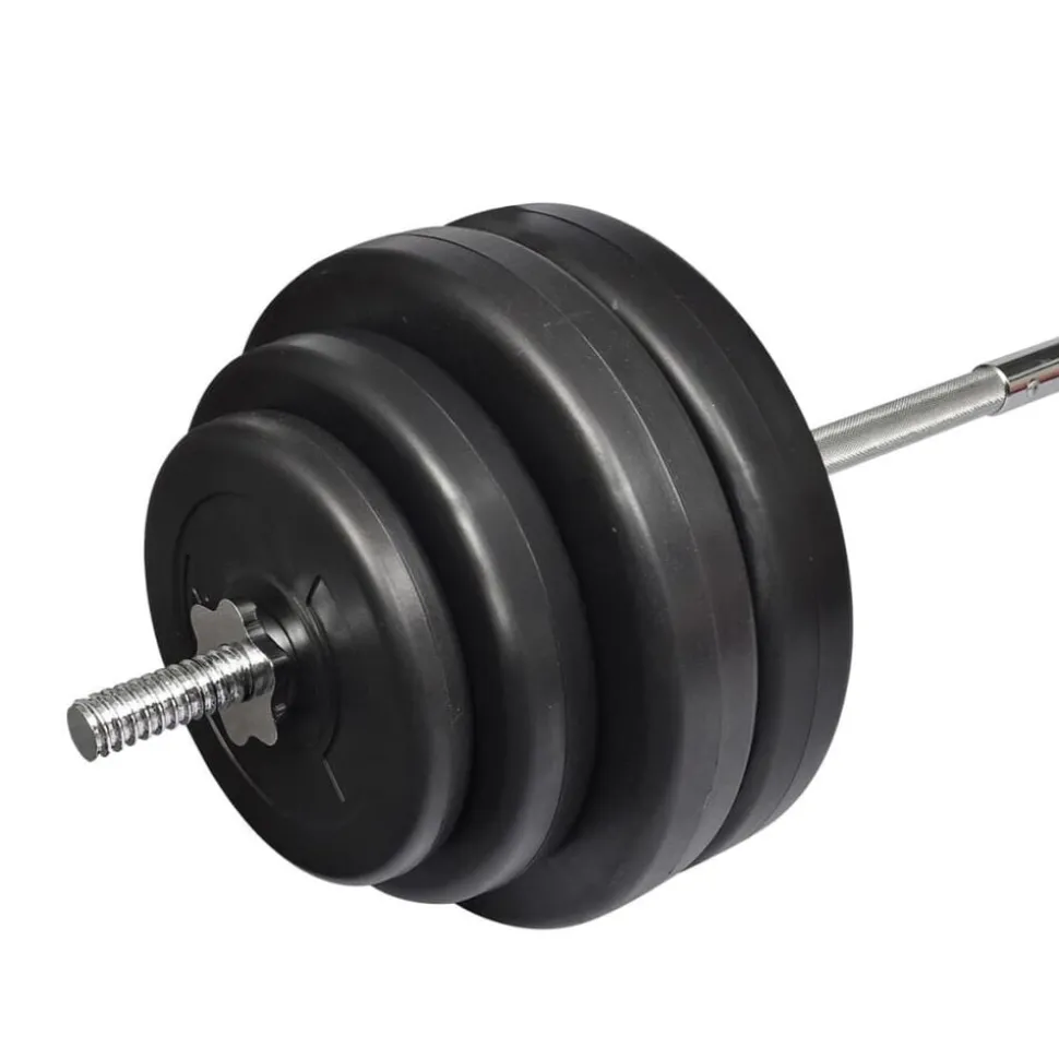 vidaXL Halter met gewichten 60 kg