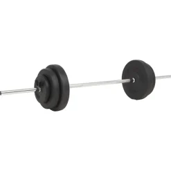 vidaXL Halter met gewichten 60 kg