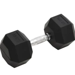 vidaXL Halters 22,5 kg gietijzer
