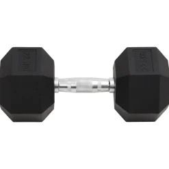 vidaXL Halters 22,5 kg gietijzer