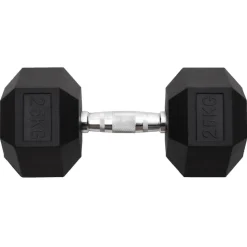 vidaXL Halters 25 kg gietijzer