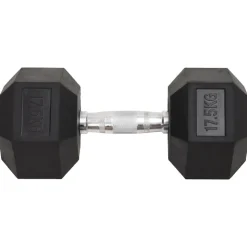 vidaXL Halters 17,5 kg gietijzer