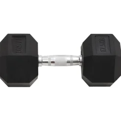 vidaXL Halters 17,5 kg gietijzer