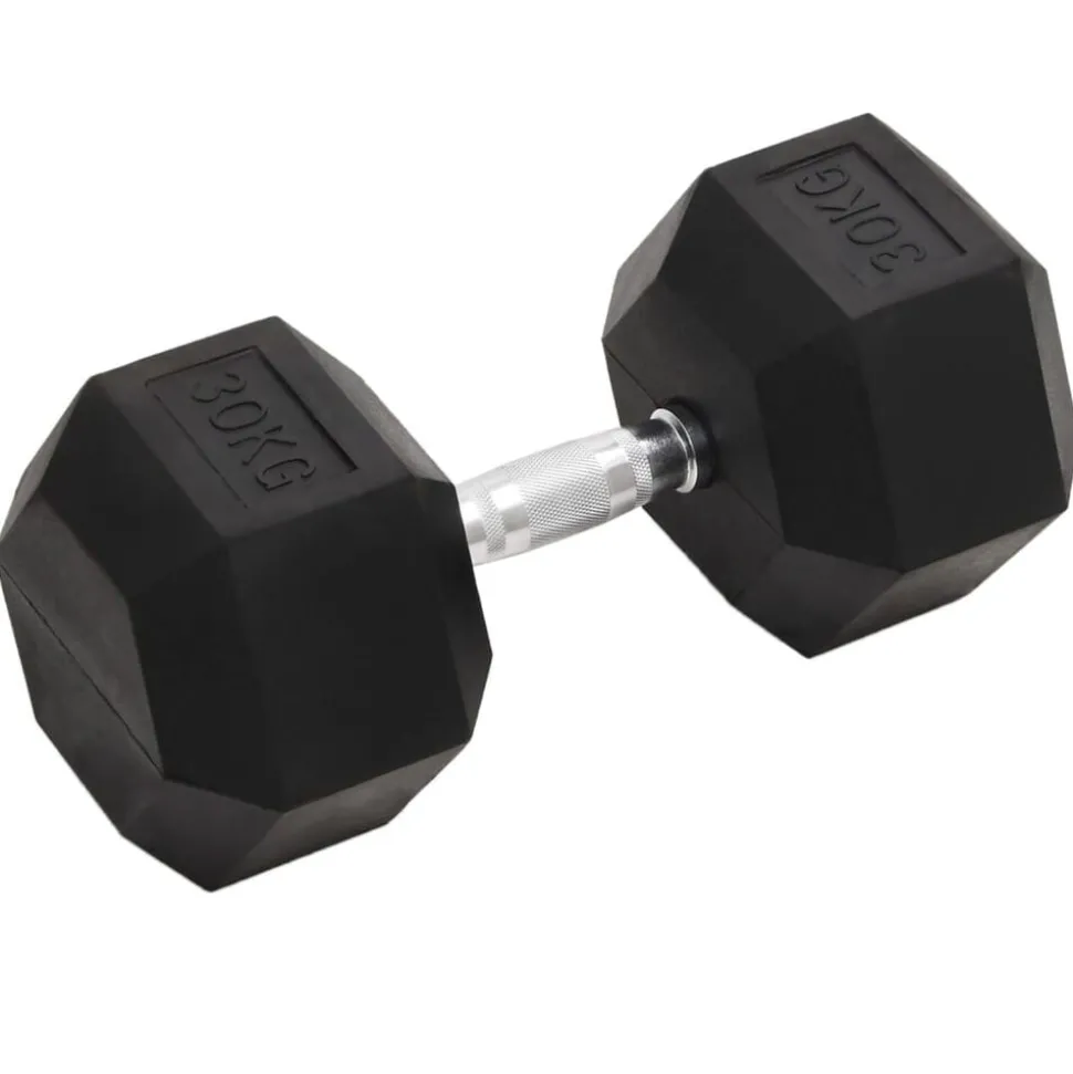 vidaXL Halters 30 kg gietijzer