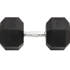 vidaXL Halters 30 kg gietijzer