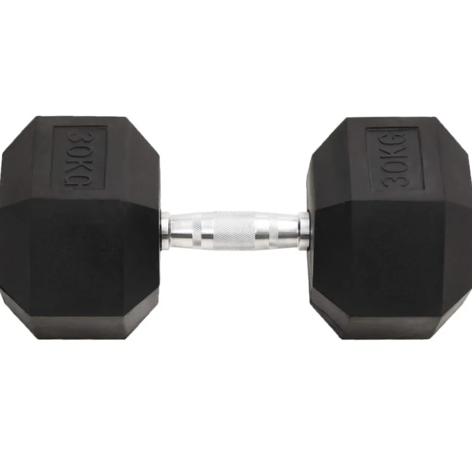 vidaXL Halters 30 kg gietijzer