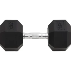 vidaXL Halters 20 kg gietijzer