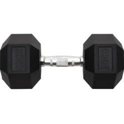vidaXL Halters 20 kg gietijzer